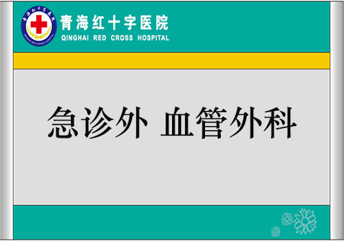 急診外、血管外科