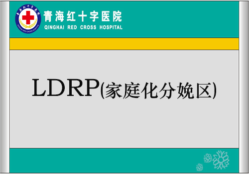 LDRP (家庭化分娩區(qū))